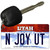 N Joy UT Utah State License Plate Tag Key Chain KC-10197