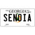Senoia Georgia State Novelty License Plate