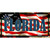 Florida on American Flag Metal Novelty License Plate