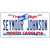 Seymour Johnson North Carolina Novelty License Plate