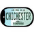 Chichester New Hampshire State Novelty Metal Dog Tag Necklace DT-12082