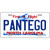 Pantego North Carolina State Novelty Metal License Plate