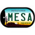 Mesa Arizona Novelty Metal Dog Tag Necklace DT-1042
