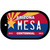 Mesa Arizona Centennial Novelty Metal Dog Tag Necklace DT-6804