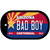 Bad Boy Arizona Centennial Novelty Metal Dog Tag Necklace DT-6814