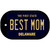 Best Mom Delaware Novelty Metal Dog Tag Necklace DT-6716