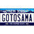 Gotosama New York Novelty Metal License Plate