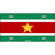 Suriname Flag Metal Novelty License Plate