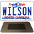 Wilson North Carolina Novelty Metal Magnet M-11857