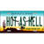 Hot As Hell Arizona Novelty Metal License Plate