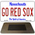 Go Red Sox Massachusetts Novelty Metal Magnet M-12185