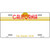 California Golden State Plate Novelty State Blank Metal License Plate