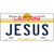 Jesus California Novelty Metal License Plate