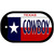 Cowboy Texas Novelty Metal Dog Tag Necklace DT-175