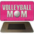 Volleyball Mom Novelty Metal Magnet M-1173