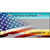 Arizona License Plate American Flag Novelty Metal License Plate