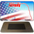 Nebraska with American Flag Novelty Metal Magnet M-12356