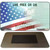 New Hampshire with American Flag Novelty Metal Magnet M-12358