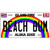 Beach Bum Hawaii Novelty Metal License Plate