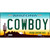 Cowboy Arizona Novelty Metal License Plate