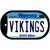 Vikings Minnesota Novelty Metal Dog Tag Necklace DT-2048