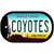 Coyotes Arizona Novelty Metal Dog Tag Necklace DT-2279