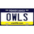 Owls Novelty Metal License Plate