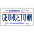 Georgetown Novelty Metal License Plate