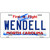 North Carolina Wendell Novelty Metal License Plate