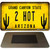 Arizona 2 Hot Novelty Metal Magnet M-12324