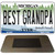 Michigan Best Grandpa Novelty Metal Magnet M-12283