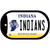 Indiana Indians Novelty Metal Dog Tag Necklace DT-6374