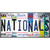 Nationals Strip Art Novelty Metal License Plate Tag