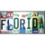 Florida Strip Art Novelty Metal License Plate Tag