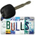 Bulls Strip Art Novelty Metal Key Chain KC-13214