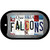 Falcons Strip Art Novelty Metal Dog Tag Necklace DT-13168