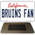 Bruins Fan Novelty Metal Magnet M-12657