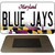 Blue Jays Novelty Metal Magnet M-12817