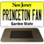 Princeton Fan Novelty Metal Magnet M-12886