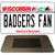 Badgers Fan Novelty Metal Magnet M-13124
