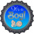 Its A Boy Novelty Metal Bottle Cap Sign BC-639