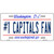 Number 1 Capitals Fan Novelty Metal License Plate Tag