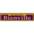 Bienville Purple Novelty Metal Street Sign