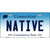 Native Connecticut Metal Novelty License Plate