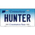 Hunter Connecticut Metal Novelty License Plate