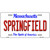 Springfield Massachusetts Metal Novelty License Plate