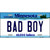 Bad Boy Minnesota State Novelty License Plate