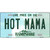 Hot Mama New Hampshire State License Plate