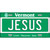 Jesus Vermont Metal Novelty License Plate