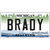 Brady Michigan Metal Novelty License Plate